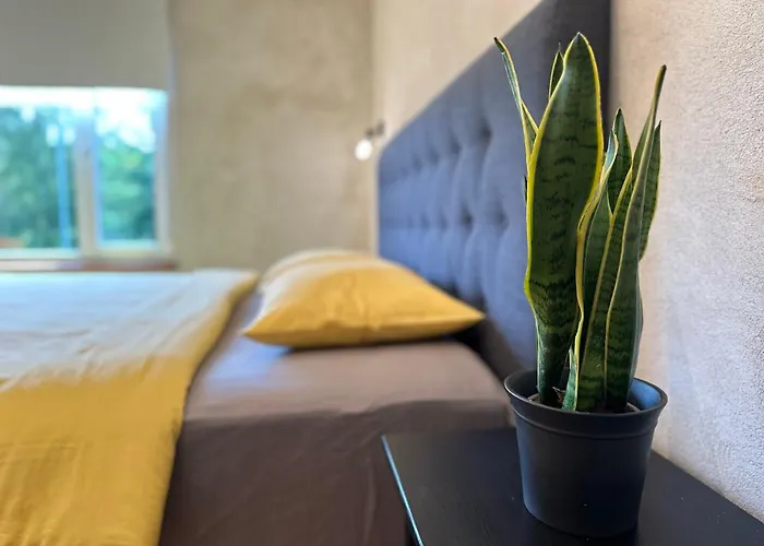 Magical Two Bedroom In